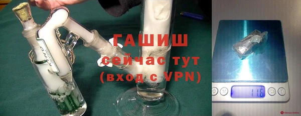 ECSTASY Бородино