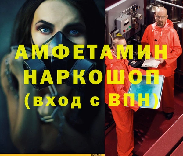 ECSTASY Бородино
