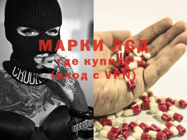 ECSTASY Бородино
