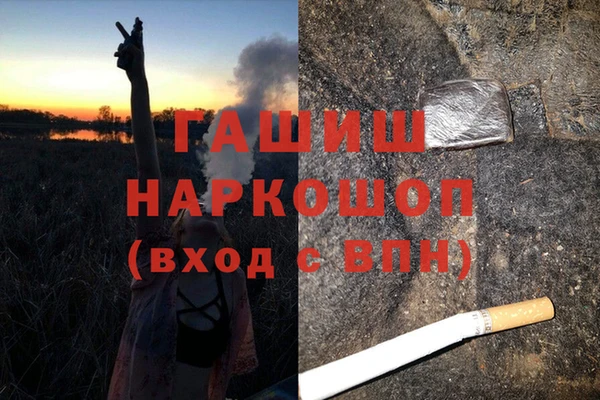 ECSTASY Бородино