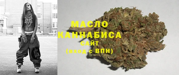 ECSTASY Бородино